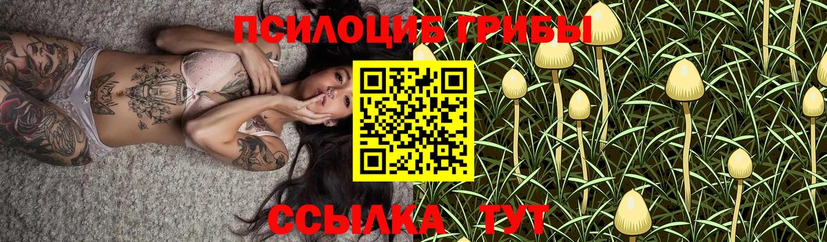 Псилоцибиновые грибы Cubensis  Вход с VPN  Сызрань 